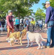 Bike to Work Central Maryland 2023 Annapolis Pit Stop